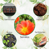 50 Semillas Flor Portulaca Grandiflora + Kit De Germinación