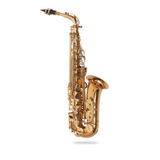 Saxofón Alto Aileen Profesional - Incluye Estuche Y Envío.