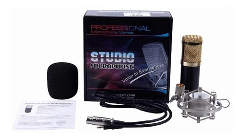 Micrófono Condensador Home Studio Bm-700 Pc / Lhua Store