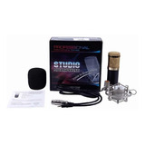 Micrófono Condensador Home Studio Bm-700 Pc / Lhua Store