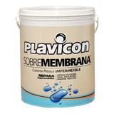 Plavicon Sobremembrana Impermeabilizante Techos 20k Pintumm