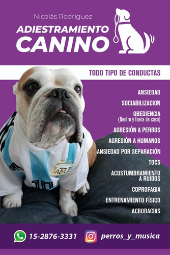 Adiestrador Canino 