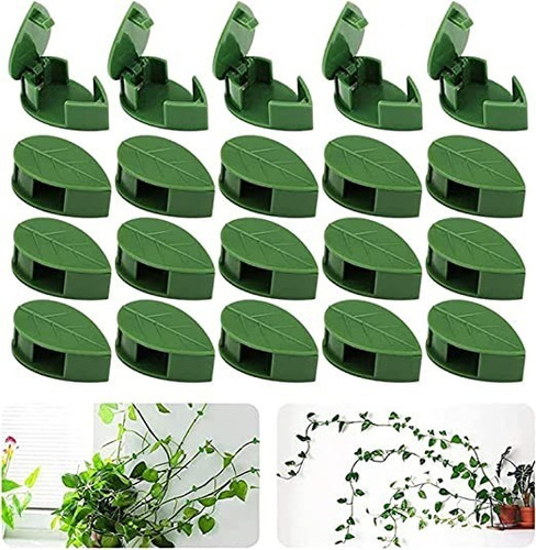 Pinzas De Pared Para Plantas Enredadera Decoración Adherible