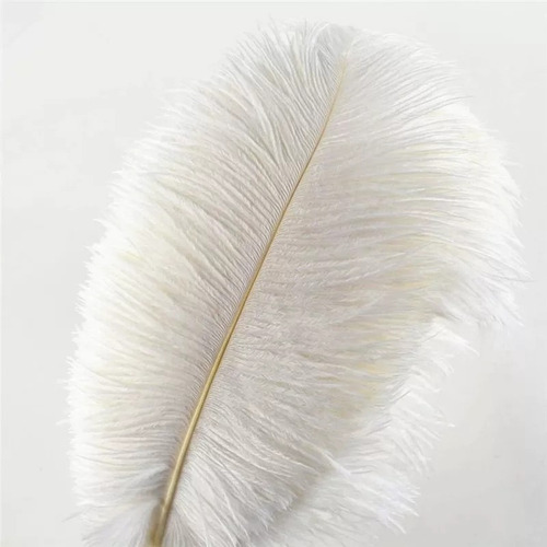 Plumas De Avestruz Blancas 20-25 Cm / 10 Pcs 