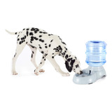 Dispensador De Agua Para Mascotas Grande De 11 Litros