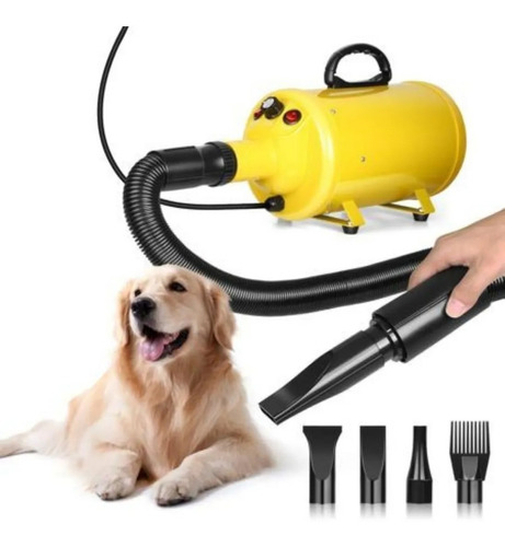 Secador Soplador 2800w Gato Y Perro Profesional  Y A