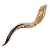 Shofar De Israel 96 Cm Sh26