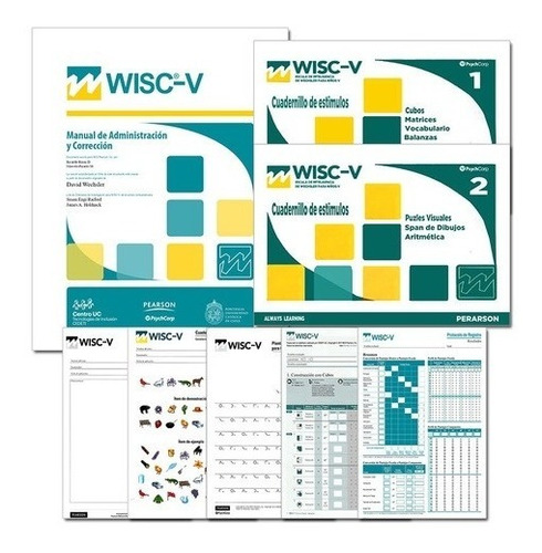 Wisc V Test 