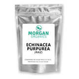 Echinacea Purpurea Orgánica En Polvo 100% (raiz) | 50 Grs