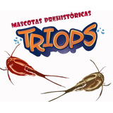 Triops !!!mascotas Prehistóricas Longicaudatus Rojo (albino)