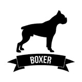 Carro Sticker Perro Boxer