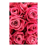 Vinilo Decorativo 20x30cm Rosa Flor Jardin Planta M5