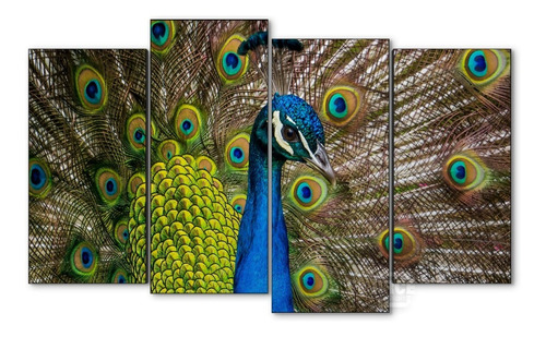 Cuadro Decorativo Moderno Aves Pavorreal Jd-0029 L