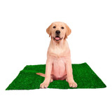 Sanitario Canino Banheiro P/ Cães Tapete Sintetico Grama Pet