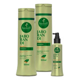 Kit Haskell Jaborandi  Shampoo Condicio  300ml Tonico 120 Ml