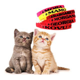 Kit 2 Coleira Gato Personalizada Identificação Nome