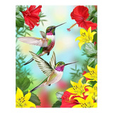 5d Diamond Painting Kit Pintura Diamante 5d 5d Colibri