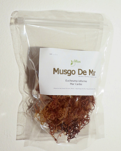 Musgo De Mar Seco (sea Moss) 1oz E. Isiforme Morado