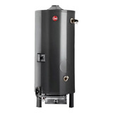 Termotanque Comercial Rheem M 300 Alta Recuperación 1800 L/h