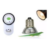 Kit Lampada Uvb Repteis Tartarugas + Temporizador Timer