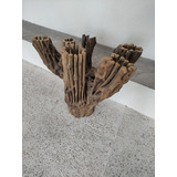 Raiz Cactus Madera Fosil Decorativo Tronco Maceta Terraza M5