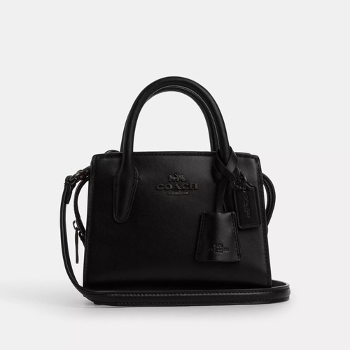 Coach Andrea Mini Carryall