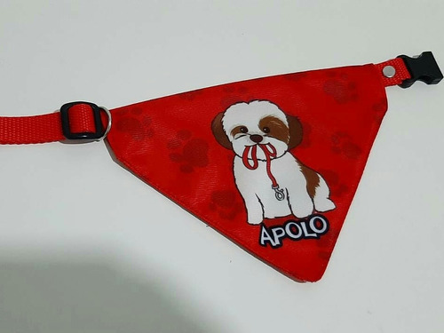 Pañoleta Collar Personalizada Mediana Para Perros