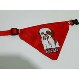 Pañoleta Collar Personalizada Mediana Para Perros