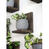 Daniels Plants Midcentury Modern Gallery - Estante De Pared.