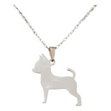 Collar Cadena Perro Chiguagua G Mujer Plata 925 + Caja Regal