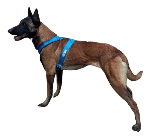 Arnes Deportivo Pechera Para Entrenamiento Perros Policia K9