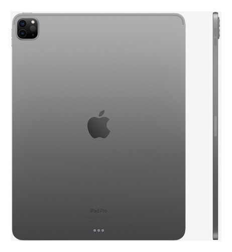 Apple iPad Pro 12.9  256 Gb Space Gray