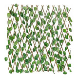 2 Pzas Muro Verde Expandible Bambu Follaje Artificial 3x.50 