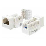 Cat5 Jack White, Paquete De 25