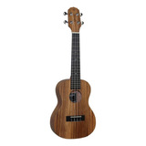 Ukulele Concert Giannini Guk-23 Acústico Nylon Com Bag