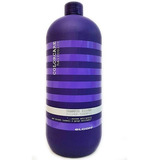 Shampoo Silver Morado Matizador Elgon 1 Litro