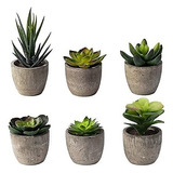 6 Macetas Pequeñas Plantas Suculentas Artificiales Mini 