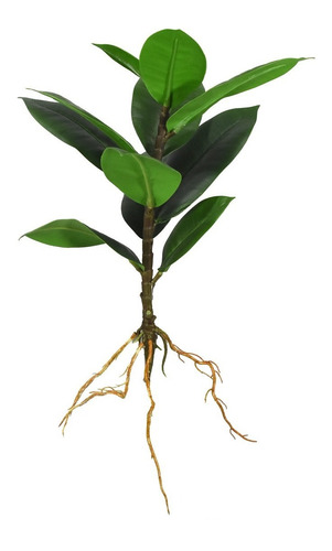 Planta Brote De Magnolia Artificial Árbol Con Raíz 33 Cm