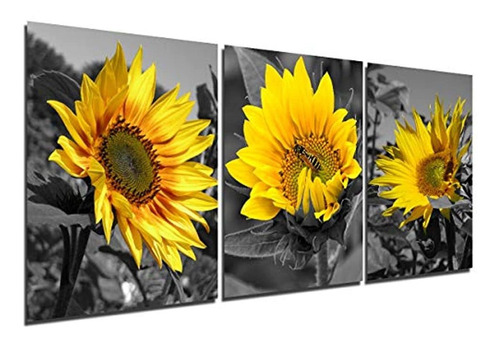 Cuadro De Girasol En Blanco Y Negro Con Diseño De Flores