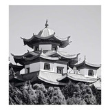 Vinilo 30x30cm Japones Templo Buda Edificio Blanco Negro