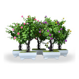 Planta Artificial Arbol Bonsai Maceta Decorativas Hogar