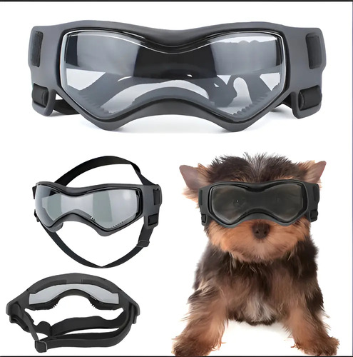 Óculos De Sol Para Cães Uv Para Médios E Grande De Cães