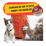 Oferta Cinta Anti Arañazos De Gato En Tus Muebles Oferta