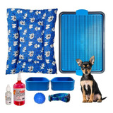 Kit Pet Colchão Cama Confort Basic Sanitário Xixi Sim/não P