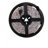 Rollo Tira Cinta 5 Mts Led 5050 Exterior Rgb