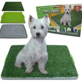 Oferta! Baño Perros Gato Potty Ecologico Grande Xxl Lavable