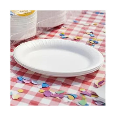 Plato Térmico Desechable 006 Reyma 500 Piezas | Envío gratis