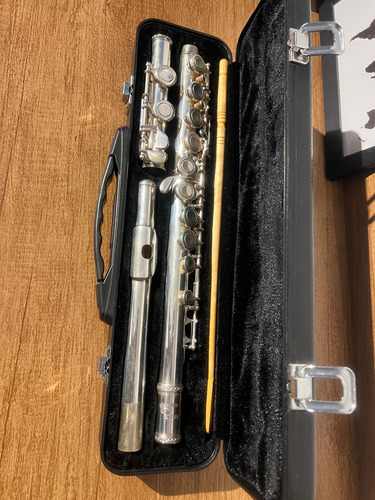Flauta Transversal Eagle Fl03s Prateada Em Dó Com Case
