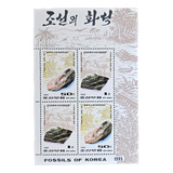 Corea, Bloque Sc 3458 Fósiles Año 1995 Mint L19362