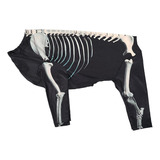 Disfraz De Perro Esqueleto De Halloween, Ropa Para Sg